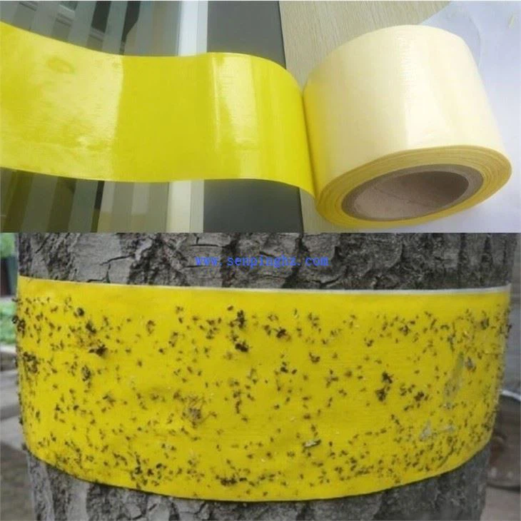 insect trapping tape sticky roll